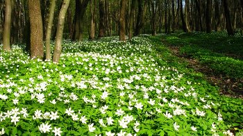 Погані звички